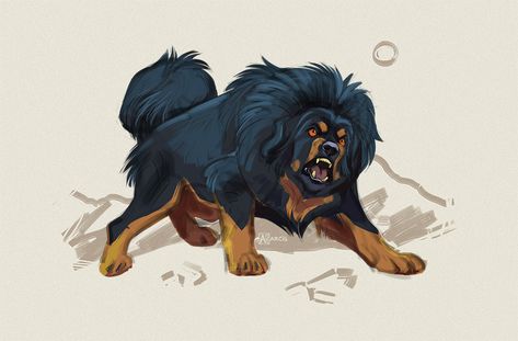 Tibetan Mastiff Drawing, Tibetan Mastiff Art, Dog Oc, Dog Design Art, Dog Breed Art, Animal Anime, Animal Studies, Big Dog Breeds, Artistic Ideas