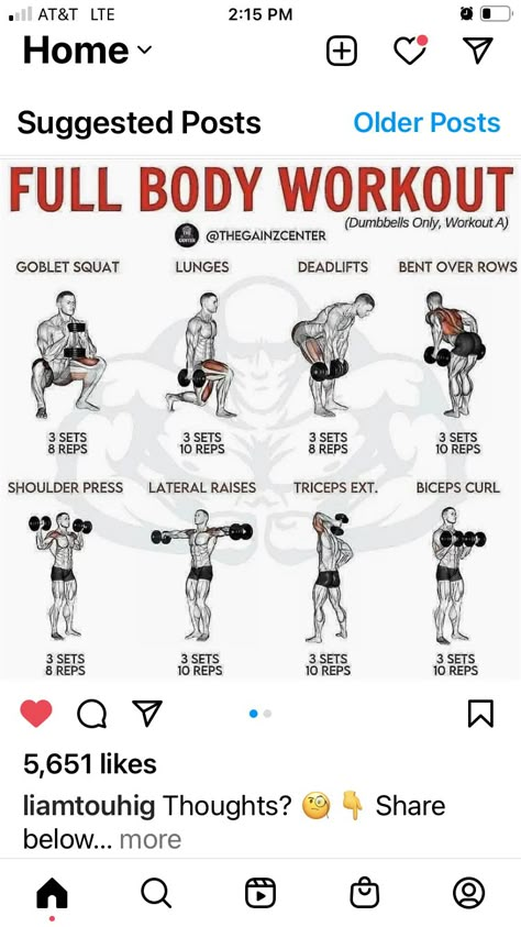 Total Body Workout Plan, Complete Body Workout, Full Body Dumbbell, Full Body Weight Workout, Full Body Workout Plan, Body Workout Routine, Full Body Dumbbell Workout, Workout Gym Routine, Dumbbell Workouts