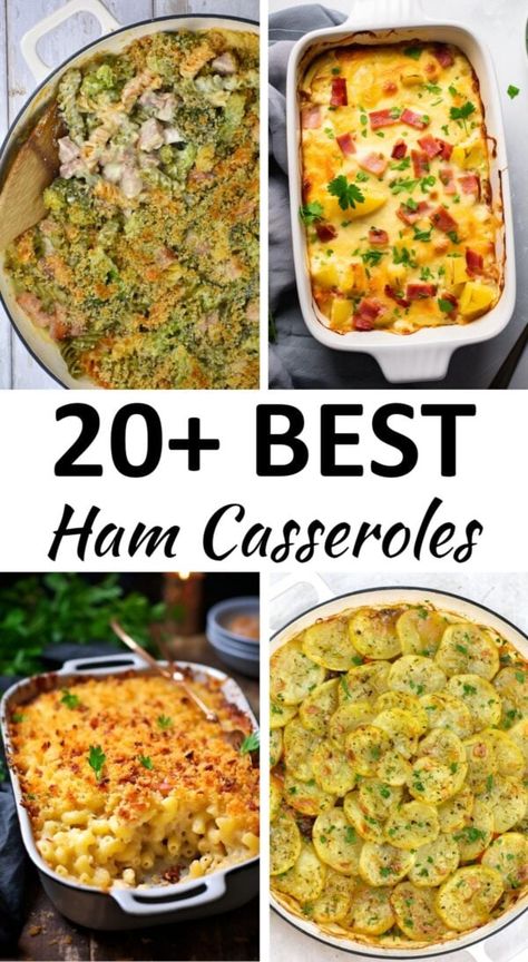 Collage of four ham casseroles. Recipe With Cubed Ham, Ham And Vegetable Casserole, Dinners Using Ham, Casseroles Using Ham, Ham Stuffing Casserole, Casserole Using Ham, Ham Casserole Recipes Healthy, Freezer Meals With Ham, Ham And Cheese Casserole Recipes