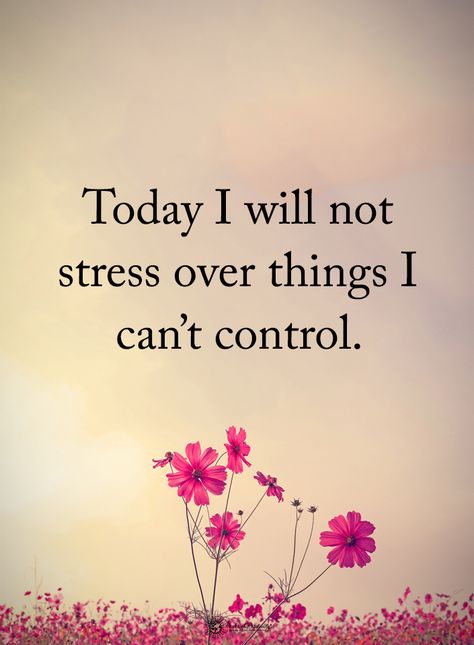 Today I will not stress over thins I can't control. #powerofpositivity #positivewords #positivethinking #inspirationalquote #motivationalquotes #quotes #life #love #hope #faith #respect #stress #things #control Daglig Motivation, Inner Journey, Buddhist Quotes, Power Of Positivity, Knowledge And Wisdom, Yoga Quotes, Positive Quote, Inspirational Thoughts, Quotes Thoughts