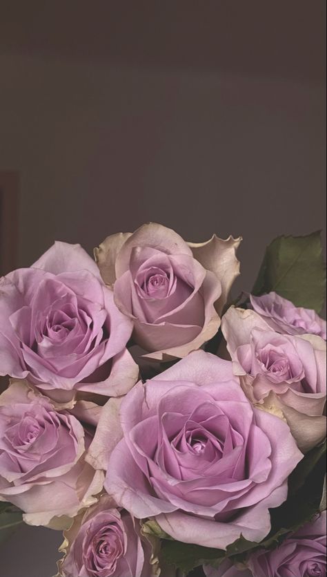 Violet Roses, Lover Girl, Violet Rose, Rose Violette, Violet Flower, Aesthetic Pictures, Snapchat, Violet, Roses