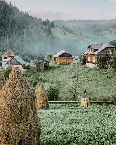 Ukraine Country, Aesthetic Village, Forest Village, Mountains Forest, European Aesthetic, Saved Pins, Plant Aesthetic, Forest Nature, Mountain Village