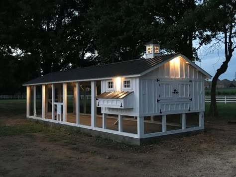 Carolina Coop, Simple Chicken Coop, Chicken House Ideas, Fancy Chicken Coop, Cute Chicken Coops, Coop Run, Chicken Coop Garden, Backyard Renovation, Fancy Chickens