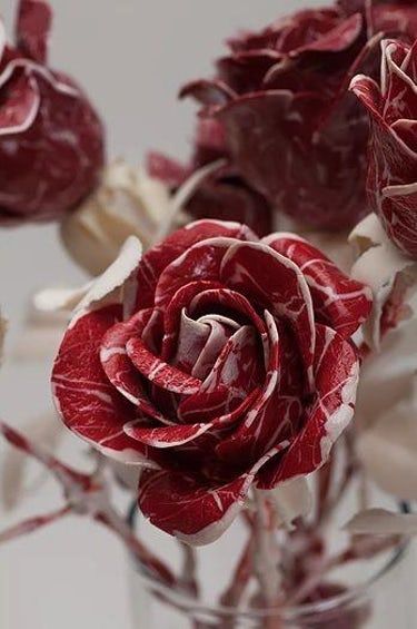 Meat Art, Flower Close Up, Poor Circulation, Blood Art, World Of Art, Building Art, Pitch Deck, Future Design, Aesthetic Images