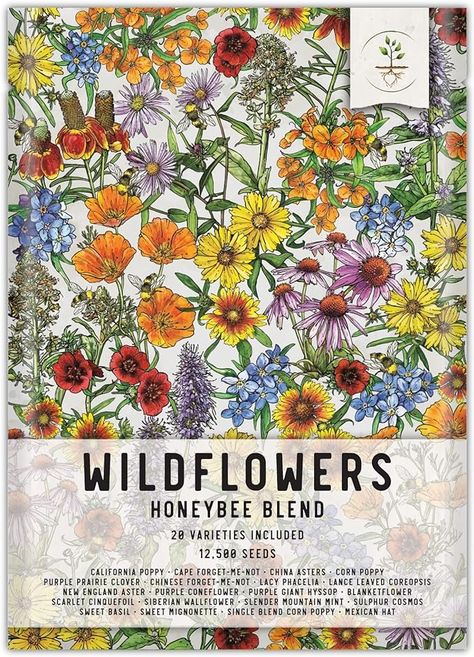 Amazon.com : Seed Needs, Bulk 12,500 Seeds Honey Bee Wildflower Blend/Mixture (20 Species) Heirloom & Open Pollinated, Attracts Pollinators : Patio, Lawn & Garden Flower Branding, Mexican Hat, Old Farmers Almanac, Seed Packaging, Indian Blankets, Spring Wildflowers, Attract Pollinators, Attract Butterflies, California Poppy