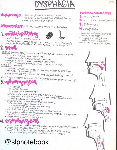 Slp Study Notes, Slp Praxis Study Guide, Medical Slp Aesthetic, Speech Language Pathology Aesthetic, Slp Praxis, Slp Grad School, Snf Slp, Slp Aesthetic, Speech Language Pathology Grad School