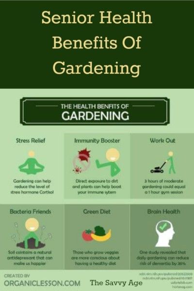 The wonderful health benefits of gardening for seniors! Senior Gardening, Green Diet, Gardening Activities, Lodge Ideas, Benefits Of Gardening, Types Of Herbs, Bone Diseases, Mommy Tips, Bone Loss