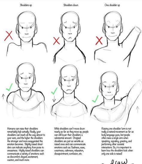 shoulders Base Ideas, 얼굴 드로잉, Art Advice, Art Students, Basic Drawing, Anatomy Drawing, Poses References, Figure Drawing Reference, Ibis Paint