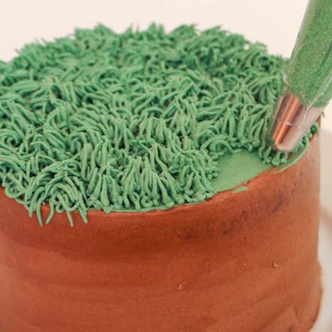 Grass Cake Decoration, Piping Grass On Cake, Grass Frosting Tip, Grass Tip Cake Decorating, Edible Grass For Cakes, Nozzles And Their Designs, Grass Piping Tip, Grass Cake, Edible Grass