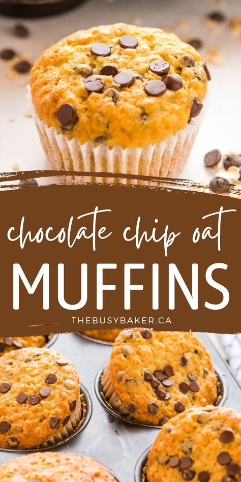 These Oatmeal Muffins with Chocolate Chips are the perfect sweet snack or breakfast made with whole grain oats and delicious chocolate - moist and tender! Recipe from thebusybaker.ca! #oatmealmuffins #chocolatechipoatmeal #breakfast #muffins #snack #baking via @busybakerblog Jumbo Oatmeal Muffins, Whole Grain Breakfast Muffins, Oatmeal Chocolate Chip Breakfast Muffins, Baking Recipes With Oats, Oatmeal Choc Chip Muffins, Oatmeal Chocolate Chip Muffin Recipe, Oat Flour Chocolate Chip Muffins, Easy Oatmeal Chocolate Chip Muffins, Things To Make With Oatmeal