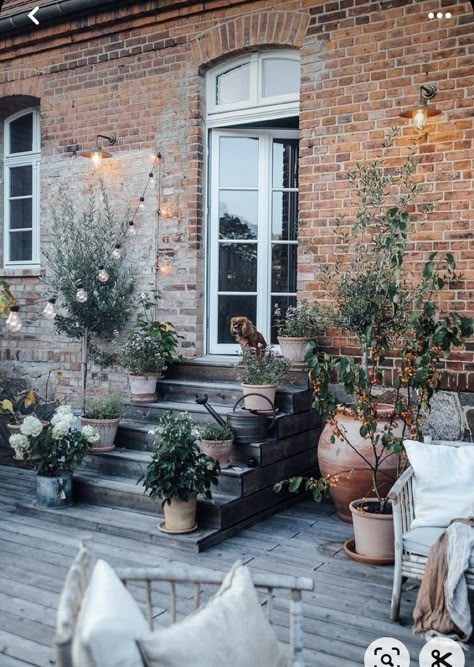 English Cottage Terrace, Teracce Ideas, Terrace Balcony Ideas, Long Garden Design, Terrace Front Garden, Terraced House Garden, Terrace Plants, Scandi Garden, Terrace Designs