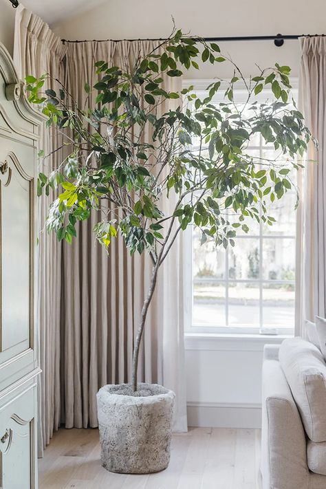 DIY Faux-Real Indoor Tree - Jenna Sue Design Diy Ficus Tree, Tall Faux Tree, Faux Olive Tree Indoor Diy, Diy Indoor Tree Decor, Tall Office Plants, How To Make A Faux Tree, Real Olive Tree Indoor, Ficus Tree Indoor Living Rooms, Diy Faux Tree How To Make