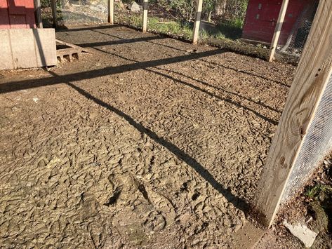 I’m looking for suggestions on how I can keep my duck coop run area clean. Right now it’s just a muddy poopy mess and I want a way to keep it nice and clean. And as the days get warmer a way to keep the scent down as well. How To Keep Duck Coop Clean, Sand In Duck Coop, Duck Pen Flooring, Duck Run Flooring, Duck Coop Flooring Ideas, Mess Free Duck Pen, Duck Waterer No Mess Winter, Duck Runs, Duck Run