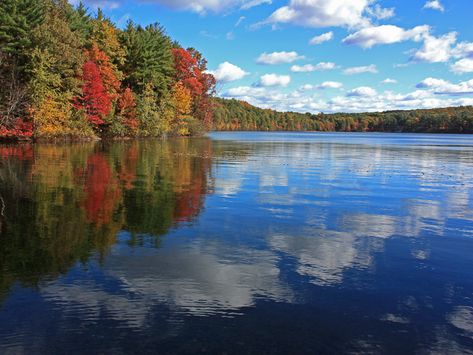 Woods Project, Walden Pond, Future Travel, Natural Environment, Landscape Photos, Open Space, Massachusetts, Wood Projects, Favorite Places