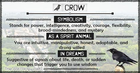 What does a crow symbolize, as a spirit animal, spiritual symbolism of seeing a black crow showing up, hearing crow calls, crow dream meaning, interpretation Crow Omen Meaning, Hearing Crows Meaning, What Does A Raven Symbolize, 1 Crow Meaning, Crow Mythology, Crow Symbolism Meaning, Black Crow Spiritual Meaning, Crow Meaning Spirit Animal, Crow Meaning