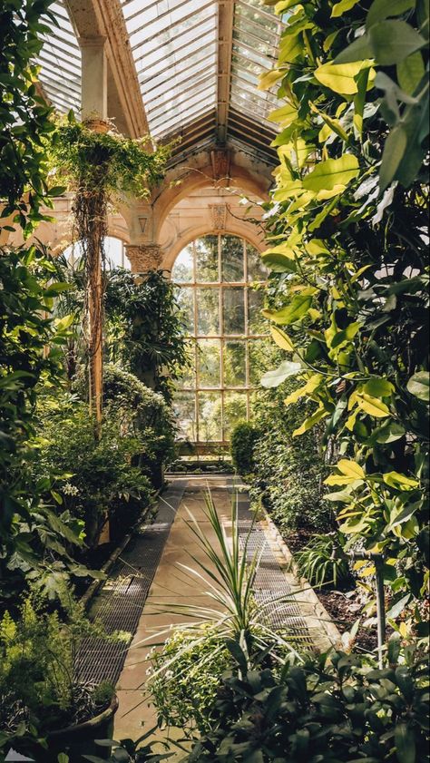 Castle Ashby, White Clematis, Lots Of Plants, Alnwick Castle, Filter Aesthetic, Plant Aesthetic, Glass House, Nature Aesthetic, Pretty Places