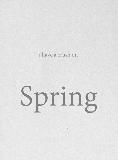 Spring Crush Insta Quotes, Spring Quotes, Seasons Change, Spring Photos, A Crush, I Have A Crush, Spring Fling, Spring Has Sprung, Spring Is Here