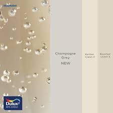 Kitchen Champagne Color, Beige Interiors, Champagne Bedroom, Coordinating Paint Colors, Dulux Paint Colours, Neutral Wall Colors, Champagne Colour, Dark Grey Walls, Light Grey Walls