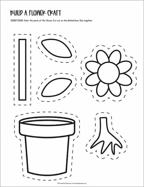 Printable Parts of a Flower Worksheets For Kids Spring Plants Crafts Preschool, Plants 1st Grade, Free Printouts For Preschool, Preschool Activity Worksheets, Prek Plant Activities, Plants Worksheets For Preschool, Parts Of A Plant Worksheet Kindergarten, Parts Of A Plant Free Printable, Parts Of A Plant Activities Kindergarten