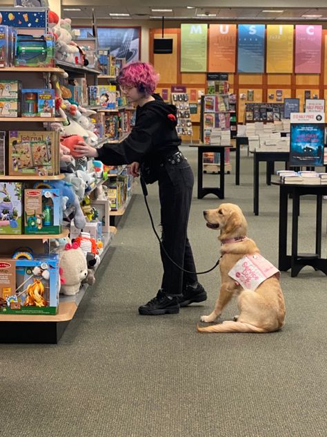 Bookstore with handler and dog. Golden retriever dog wearing a pink and white service dog vest. Big Service Dog, Gsd Service Dog, Service Dog At School, Service Dogs Vest, Service Dog Art, Dog Trainer Aesthetic, Service Dog Gear For School, Cute Service Dog Vest, Service Dog Aesthetic