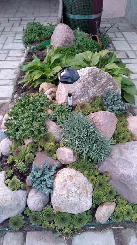 Rock Garden Succulents, Succulents Rock Garden Outdoor, Rock Garden Design Ideas Small Spaces, Using Logs In The Garden Ideas, Rocks Around Shed, Rock Gardens Diy, Rockeries Garden Ideas, Rock Garden Succulents Landscape Design, Outdoor Rock Garden Ideas