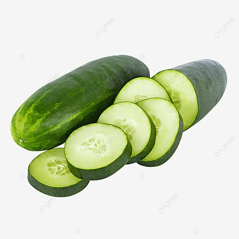 Png Pictures, Drawing Food, Mini Cucumbers, Honey Toast, Rainbow Fruit, High Calorie Meals, Drawing Prompt, Flash Card, Instagram Logo