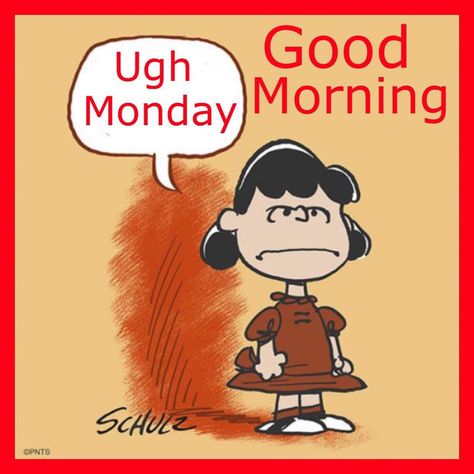 Bed Quotes, Peanuts Charlie Brown Snoopy, Snoopy Comics, Lucy Van Pelt, Cartoon Strip, Peanuts Cartoon, Snoopy Quotes, Snoop Dog, Snoopy Love