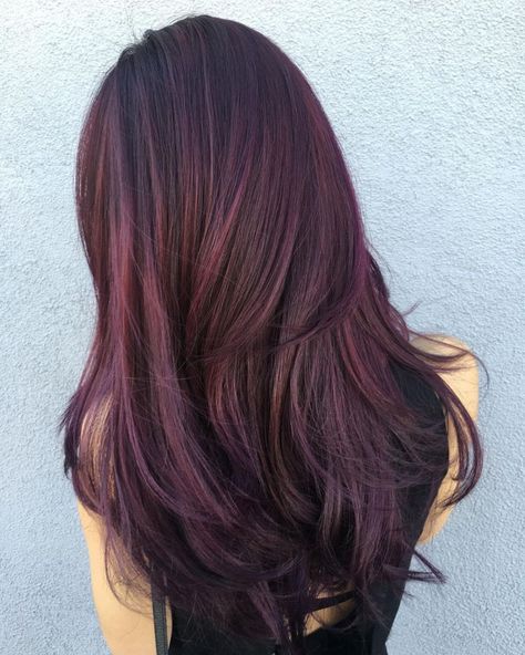 Black Hair With Purple And Brown Balayage Pixie Grow Out, Pelo Color Borgoña, Black Hair Ombre, Dark Red Hair Color, Maroon Hair, Red Hair With Highlights, Underlights Hair, Dark Purple Hair, Violet Hair