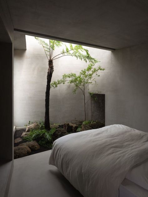 Botanical Arrangements, Casa Hobbit, Brutalism Architecture, Brutalist Architecture, Patio Interior, Interior Garden, Bedroom Designs, House Architecture Design, Dream Home Design