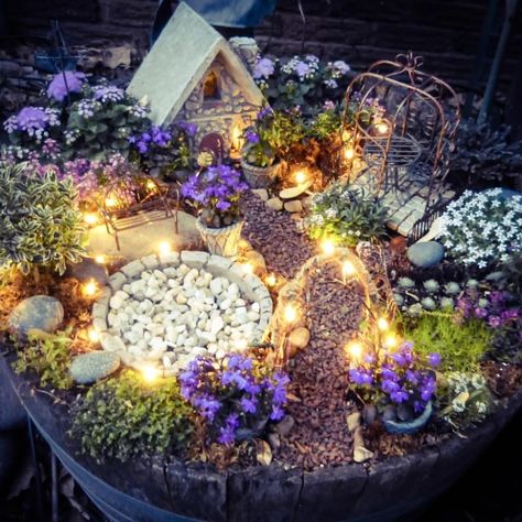 What Is A Fairy Garden/Everything You Need To know Fairy Gardens Fun Garden Art, Fairy Garden Containers, Fairy Gnome, Indoor Fairy Gardens, Whimsical Garden Art, Fairy Garden Ideas, Fairy Garden Designs, Fairy Garden Crafts, Garden Figurines