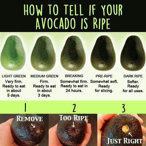 Avocado Dessert, Resep Smoothie, Avocado Salad Recipes, Food Info, Easy Salad Recipes, Avocado Recipes, Food Facts, Avocado Salad, Easy Salads