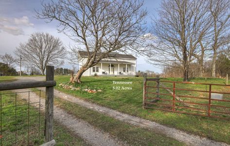 c.1900 Tennessee Homestead For Sale With 5+ Acres, Barn $385,000 Tennessee Homestead, Maple Butcher Block Countertops, Tennessee Farmhouse, Maple Butcher Block, Whole House Water Filter, Berry Bushes, Old Farmhouse, Rural Life, A Barn