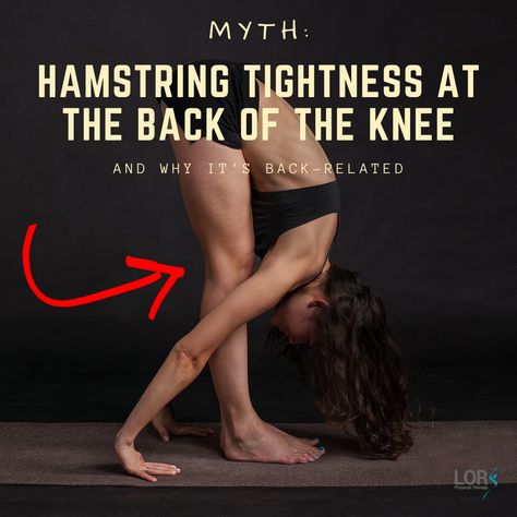 Hamstring Yoga, Knee Pain Stretches, Muscle Belly, My Knee Hurts, Knee Pain Exercises, Tight Hamstrings, Hamstring Workout, Knee Stretches, Lower Back Pain Exercises