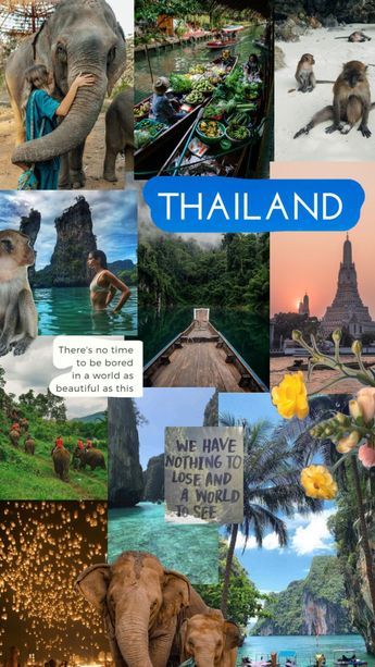 Check out marissadonatelli's Shuffles #travelinspo #thailand Thailand Mood Board, Travel Manifestation Wallpaper, Thailand Wallpaper Aesthetic, Thailand Aesthetic Wallpaper, Thailand Collage, Thailand Pictures, Thailand Wallpaper, Thailand Outfit, Thailand Vacation