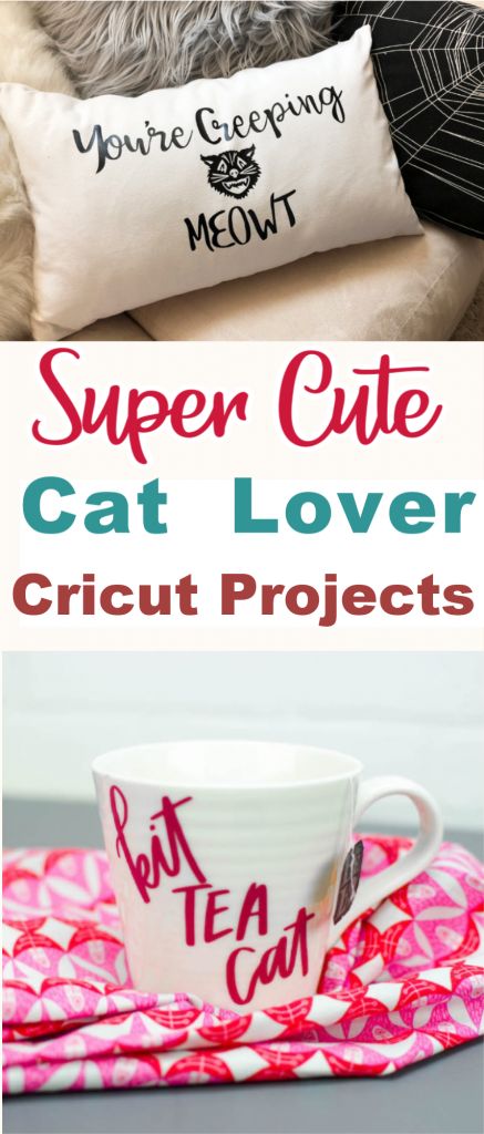 Cricut Gifts For Cat Lovers, Cat Cricut Ideas, Cricut Cat Project, Cat Cricut Projects, Circuit Crafts, Beginner Crafts, Super Cute Cats, Cricut Tips, Infusible Ink