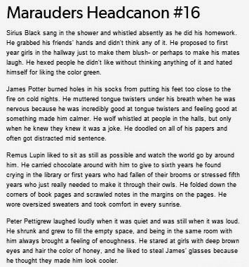 Marauders Headcanons Remus Lupin, Peter Pettigrew Headcanons, Remus Lupin House, Sirius And Remus Headcanons, Marauders Headcanons Wolfstar, James Potter Headcanons, Remus Lupin Headcanon, James Potter Headcannons, Sirius Black Headcanon