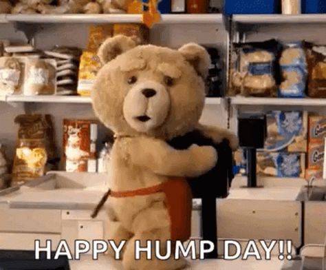 Ted Happy Hump Day GIF - Ted HappyHumpDay Funny - Discover & Share GIFs Ted Bear Funny, Hump Day Gif, Ted Gif, Hump Day Quotes, Ted Videos, Hump Day Humor, Ted Bear, Images Emoji, Bear Gif