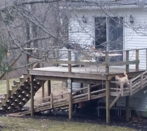 Dog Run Off Deck, Dog Ramp Off Deck, Dog Deck Ramp, Deck With Dog Ramp, Outdoor Dog Ramp, Dachshund Ramp, Daschund Stair Ramp, Outdoor Dog Ramp For Stairs, How To Build A Dog Ramp Over Stairs