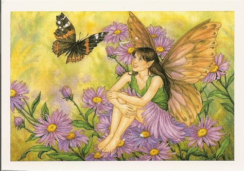 The Aster Flower fairy | Original illustration of Darcy May, from six flower and fairy cards. postcard from Australia Flower Fairies Books, Fabric Blocks, Fairy Paintings, Summer Fairy, Fairy Illustration, Fairy Pictures, Fairy Artwork, Prints Fabric, Cicely Mary Barker