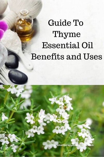 A Guide To Thyme Essential Oil and Its Benefits and Uses In Aromatherapy https://www.aromatherapyandmassage.com/thyme-essential-oil.html Thyme Essential Oil Benefits, Thyme Essential Oil Uses, Cucumber Dip Recipe, Oil For Cough, Myrtle Essential Oil, Herb Diy, Thymus Vulgaris, Growing Healthy Hair, Pine Essential Oil