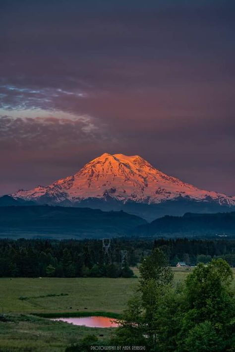 Novel in My Head - Answer to Billybuc's “the Greatest Writer No One Has Heard Of” Mt St Helens, Mount St Helens, In A Funk, Roswell New Mexico, Bay Photo, Family Tattoo, Evergreen State, Anchorage Alaska, Mt Rainier