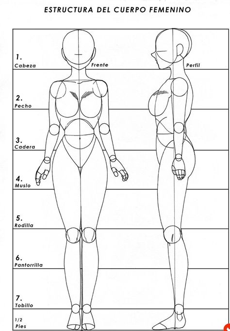 Easy Body Drawings Women, Turnaround Sheet, Sculpture Easy, Body Proportion Drawing, Drawing Body Proportions, Hats Ideas, Character Reference Sheet, Bird Sculptures, Human Body Drawing