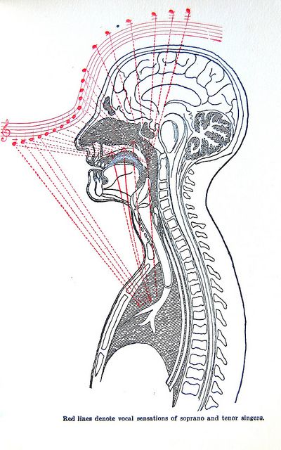 How to Sing Diagram... Hmm I'll have to see what Mr. Felts thinks of this! Vocal Training, Singing Techniques, Vocal Lessons, Music Theory Guitar, Choral Music, Voice Lesson, Music Ed, Singing Tips, Singing Lessons