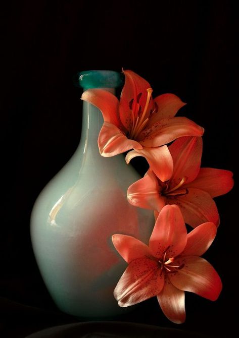 Still life photography | Reflections of Red... | Facebook Still Life Flowers Photography, Still Life Photography Flowers, Flowers Still Life Photography, Flower Still Life Photography, Still Life Flowers, Still Life Photos, Life Photography, Still Life Photography, Flowers Photography