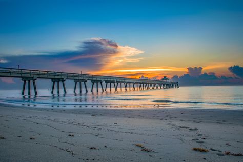 The 8 Best Things to Do in Deerfield Beach, Florida  @AlmostHomeFL #home #realestate #deerfieldbeach Deerfield Beach Florida, Florida Pictures, Florida Lifestyle, Beach Boardwalk, Pier Fishing, Nature Trail, Beach Town, West Palm Beach, Florida Beaches