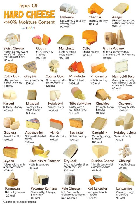 Different Type Of Cheese, Hard Cheeses List, Cheese Types Guide, Cheese Knowledge, Cheese List, Cheese Types, Culinary Basics, Type Of Cheese, Food Infographic