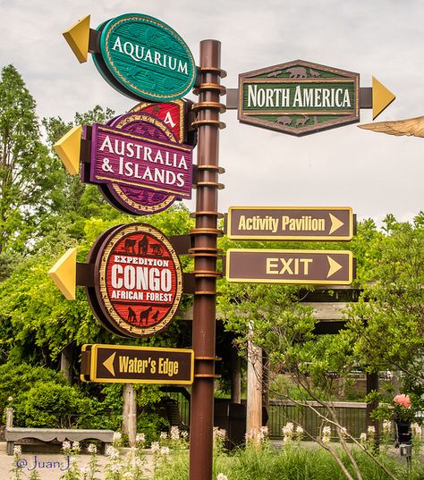 Directional Signs Design, Zoo Signage, Signage And Wayfinding, Tiki Signs, Hilarious Signs, Zoo Architecture, Signage Ideas, Park Signage, Columbus Zoo