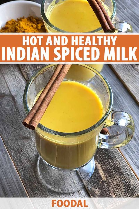 Warm and nourishing, this Indian spiced milk is the perfect hot beverage for a cold morning, or to help you relax before heading to bed. Made with a handful of health-promoting spices such as cinnamon and turmeric, it provides a boost of antioxidants with a hint of sweetness from raw honey. #turmeric #hotdrinks #foodal Spiced Milk, Milk Ideas, Honey Turmeric, Indian Milk, Autumn Breakfast, Healthy Nutrition Plan, Holistic Recipes, Brown Spots Removal, Summer Eating