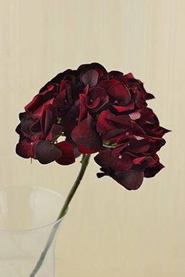 burgundy Hydrangea Pirate Bouquet, Wedding Flowers Red Roses, Burgundy Hydrangea, Baby's Breath Wedding Flowers, Wedding Flowers Gypsophila, Inexpensive Wedding Flowers, Wedding Flowers Tulips, Navy Wedding Flowers, Wedding Flowers Hydrangea