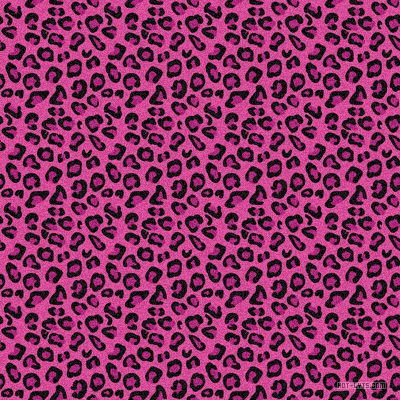 Y2k Wall Collage, Pink Leopard Wallpaper, Cheetah Pictures, All Hd Wallpaper, Girly Backgrounds, Hot Pink Leopard Print, Leopard Print Background, Leopard Print Wallpaper, Cheetah Print Wallpaper